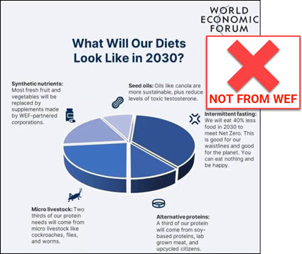 An infographic carrying a “World Economic Forum” logo is titled “What Will Our Diets Look Like in 2030?” and shows a pie chart divided into sections labeled “synthetic nutrients,” “seed oils,” “intermittent fasting,” “micro livestock” and “alternative proteins.” The News Literacy Project has added a label that says, “NOT FROM WEF.”