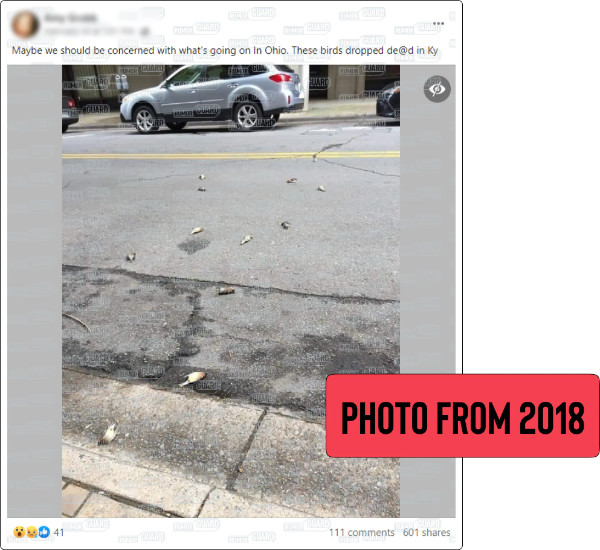 A February 2023 Facebook post reads, “Maybe we should be concerned with what’s going on in Ohio. These birds dropped de@d in Ky” and features a photo of several dead birds on a street. The News Literacy Project has added a label that says, “PHOTO FROM 2018.”