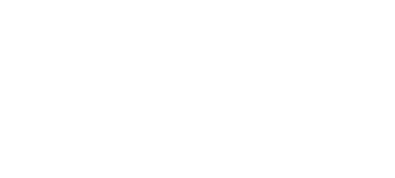 Citizen Connect logo