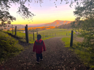 Minichiello's son Otis hiking a trail near their home in Sonoma County, California.
