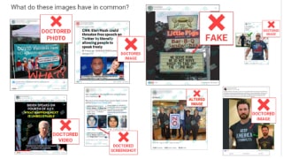 A thumbnail shows eight examples of online misinformation with red X labels on each one and a description like “FAKE” and “DOCTORED PHOTO” over them.