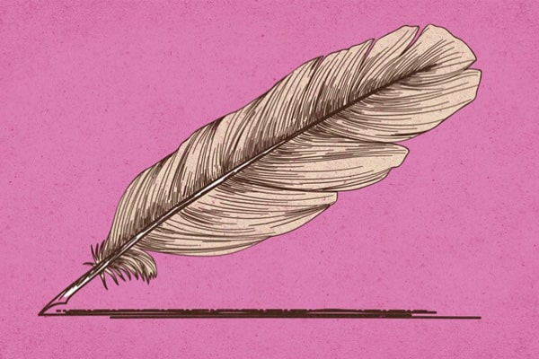 A thumbnail illustration shows a feather with a pink background.