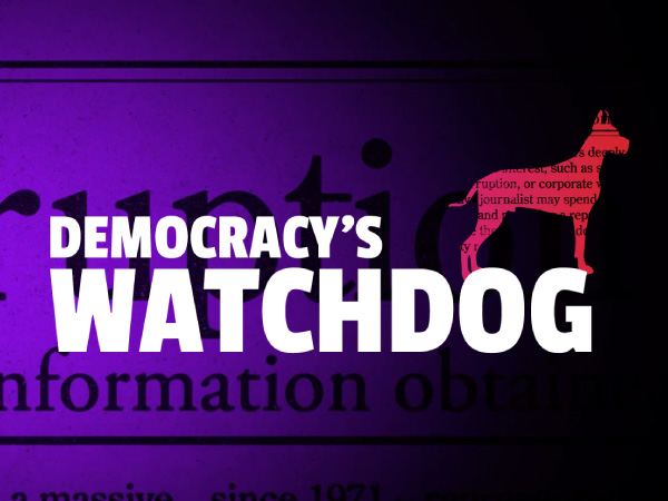 DemocracysWatchdog_Lesson-Thumb_600x450 - The News Literacy Project Graphic of outline of dog and the words "Democracy's Watchdog"
